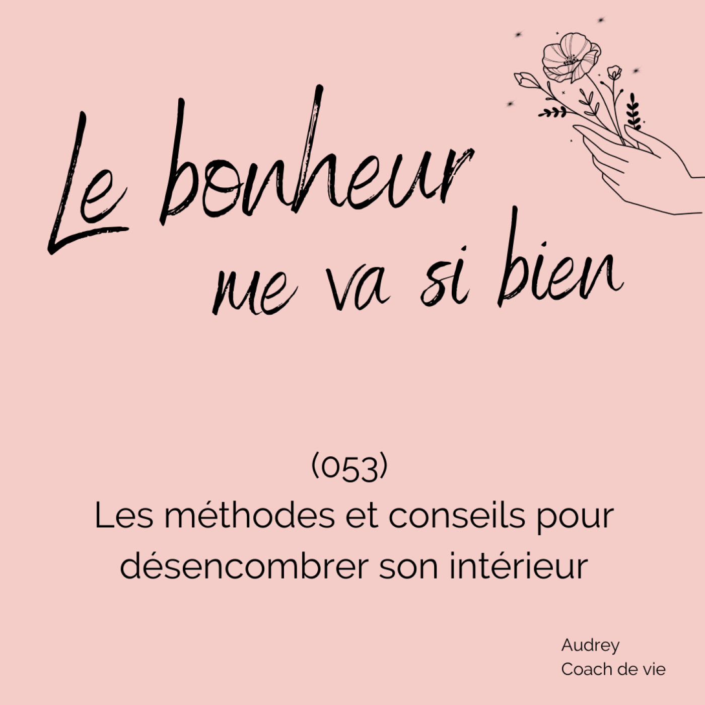 (053) Conseils pour désencombrer son intérieur durablement episode artwork