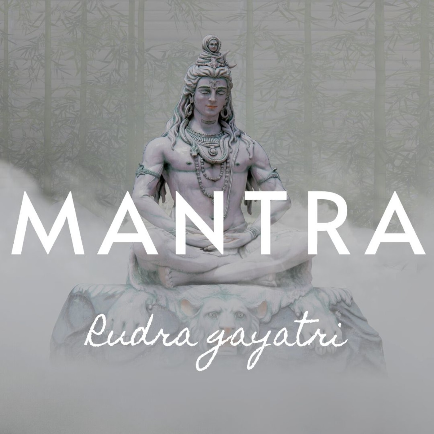 RUDRA GAYATRI MANTRA | OM TAT PURUSHAYA VIDMAHE | MAHA SHIVARATRI