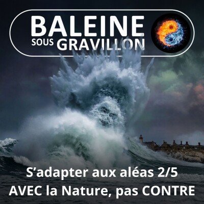 S08E02 S'adapter aux aléas 2/5 : Faire AVEC la Nature, l'eau, le climat, pas CONTRE (Éric Daniel-Lacombe) cover