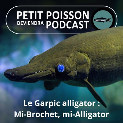 S02E01 : Le Garpic alligator : Un carnassier géant au pays des cowboys cover