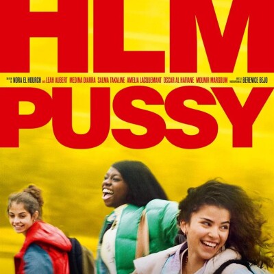 HLM Pussy cover