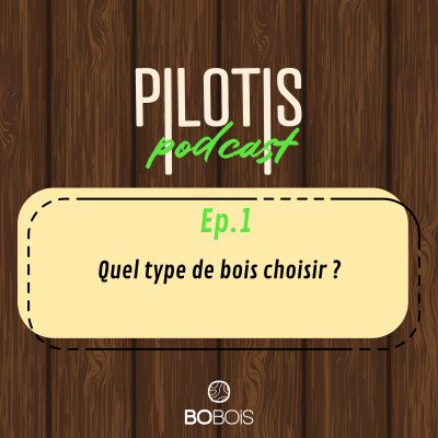 Quel type de bois choisir ? | Pilotis EP.01 cover