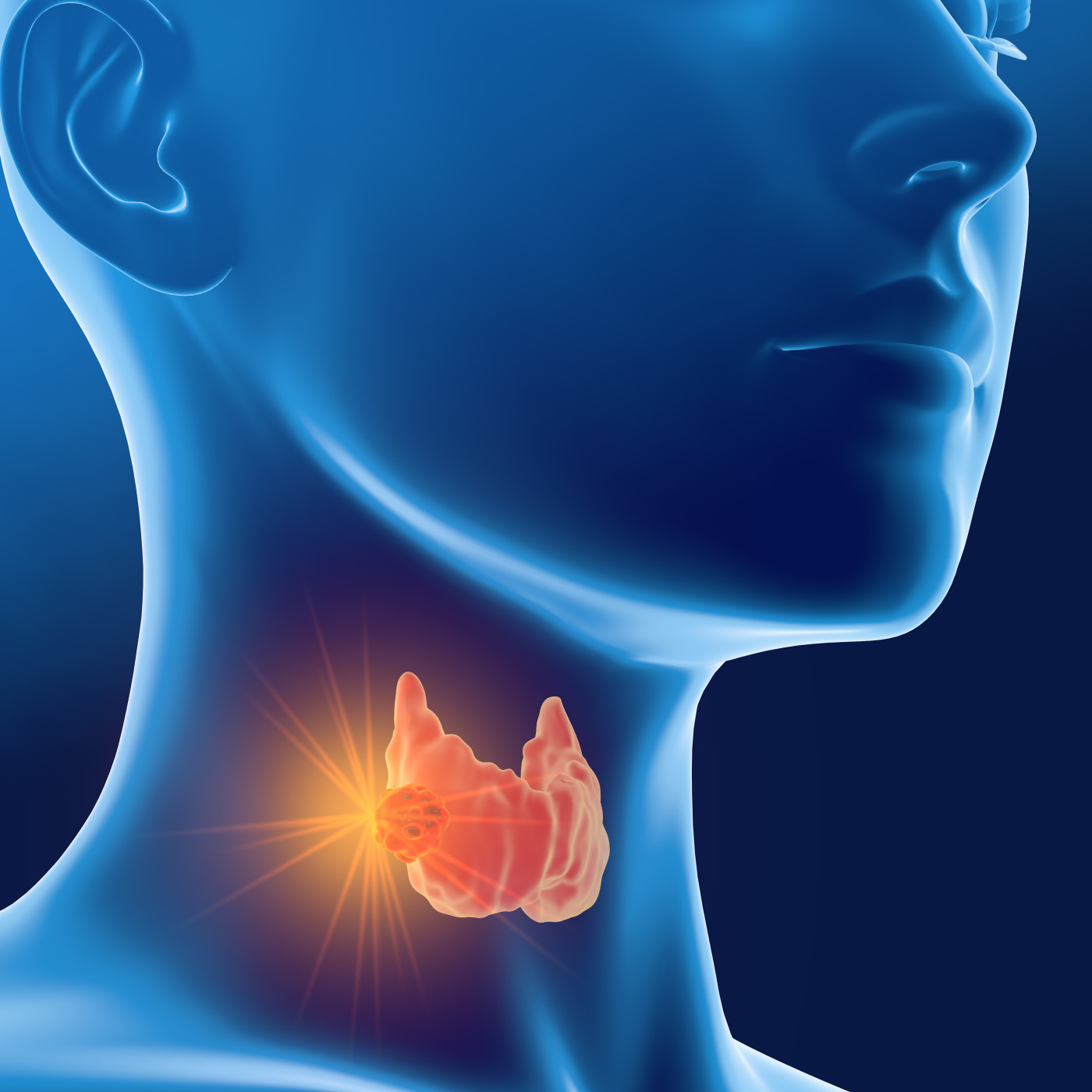 Relaxation du système hormonal Relaxation du système hormonal