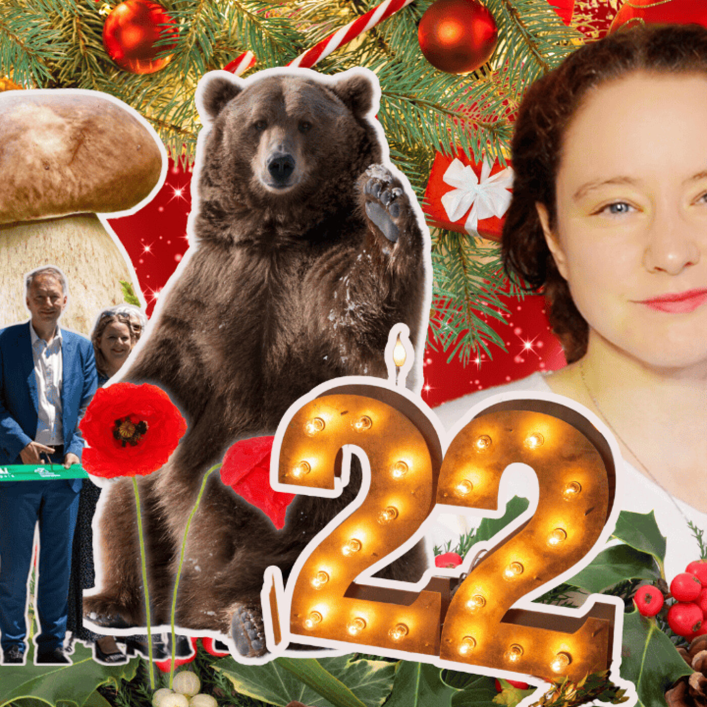 Ces parasites qui vivent au crochet des Français - Calendrier de l'Avent(ôse) 22 episode artwork