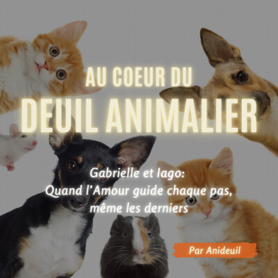 Épisode 16: Gabrielle et Iago: Quand l’Amour guide chaque pas, même les derniers cover