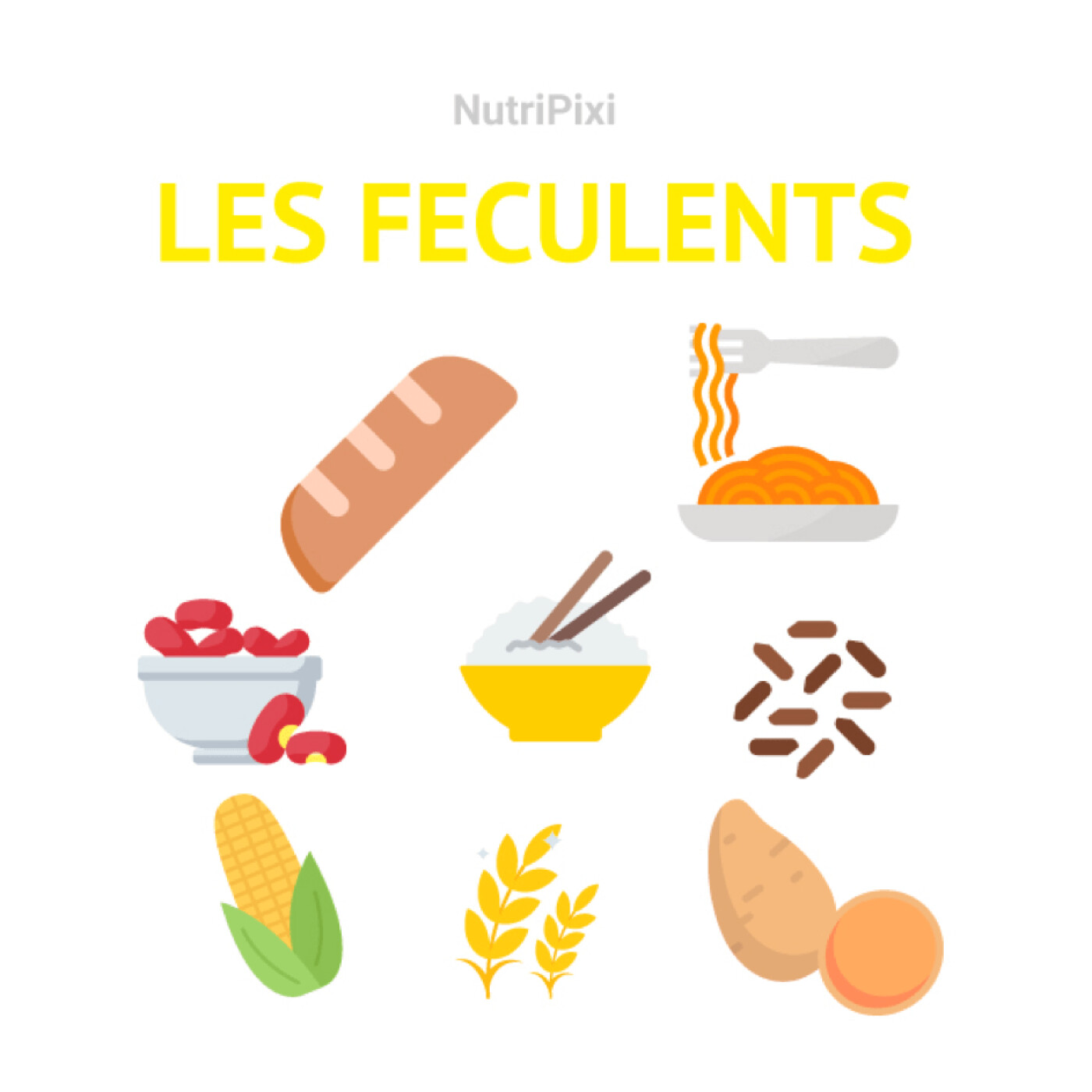 Les féculents Les féculents