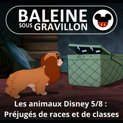 S07E55 Les animaux Disney 5/8 : Préjugés racistes et classistes cover