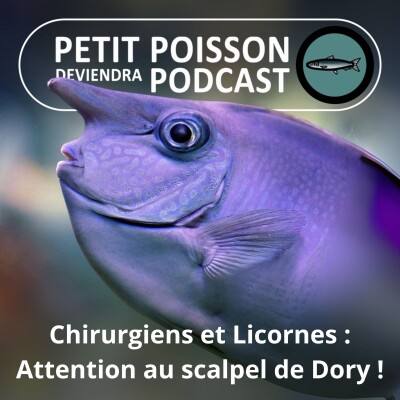 S02E08 Poissons-Chirurgiens et Poissons-Licornes (Acanthuridés) : attention au scalpel de... Dory ! cover