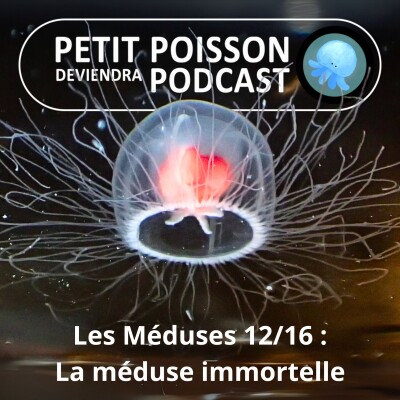 S04E12 Méduses 12/16 : La méduse immortelle, vers l'éternité et au-delà ! cover