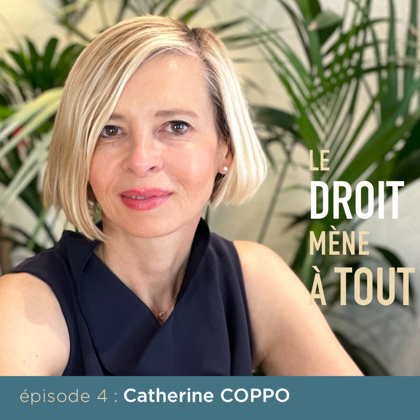 Le droit mène à tout