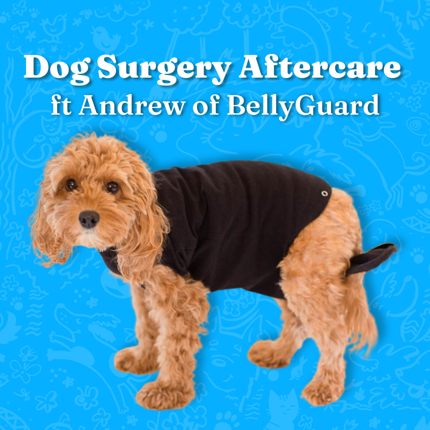 Easing the Pain: Smart Alternative for Dog Surgery Aftercare ft. Andrew of BellyGuard episode artwork