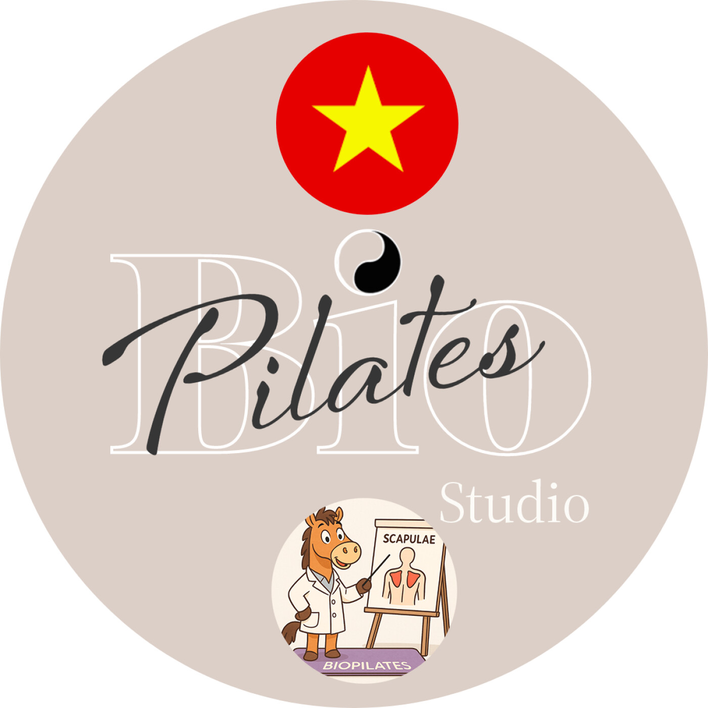 🇻🇳 Basic Principle - Stott Pilates Scapula Stabilization - Ổn định và Linh hoạt Xương Bả Vai: Người và Ngựa - episode artwork