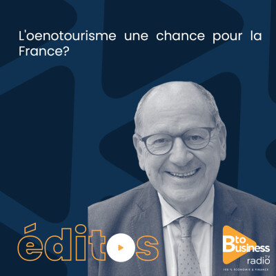 L'oenotourisme une chance pour la France ? | Hervé Novelli, ncien ministre, créateur du régime de l'autoentrepreneur cover