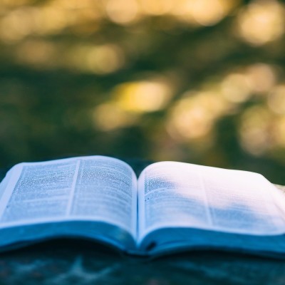 Idée lecture : "Le grand amour de Marie-Antoinette" cover