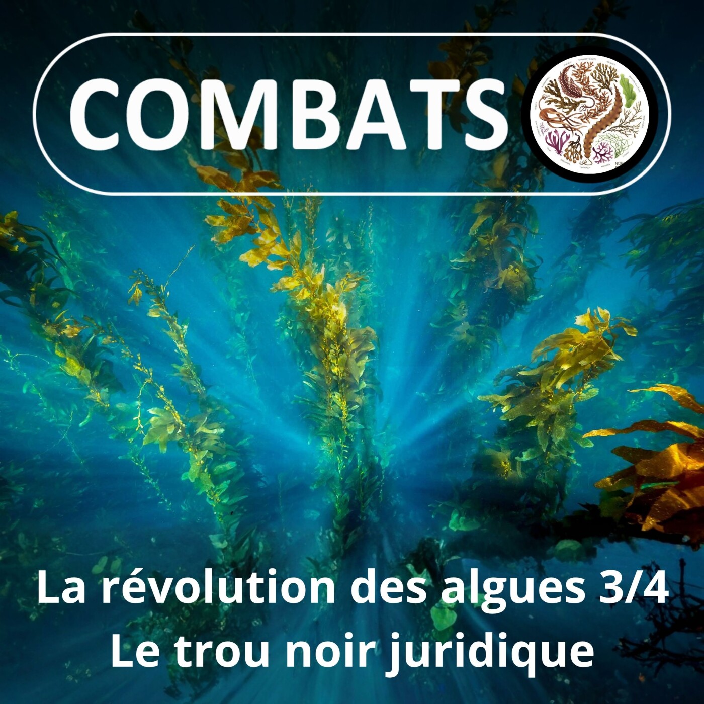 HORS-SÉRIE La révolution des algues 3/4 : Le trou noir (et blanc) juridique