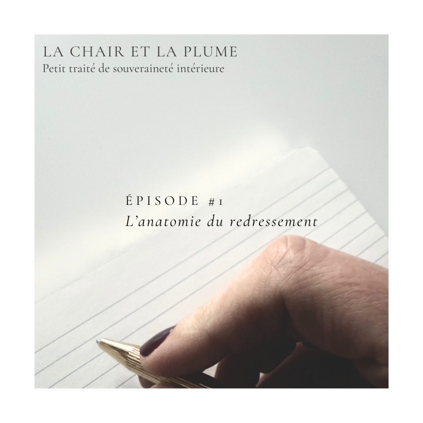 Cycle 1 - Episode 1 : L'anatomie du redressement episode artwork
