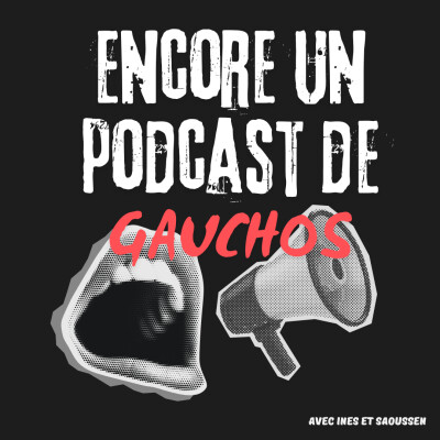 Inès et Saoussen parlent avec Paola Salwan Daher | La diversité au service de l'Empire, en LIVE au Festival des Dissidentes 2024 cover