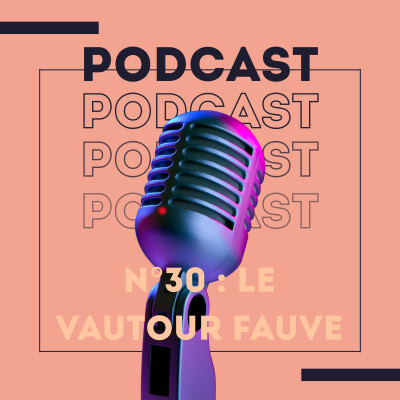 Le Vautour Fauve : Héros ou Monstre ? cover