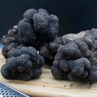 Les pépites noires : Trufficulteur cover