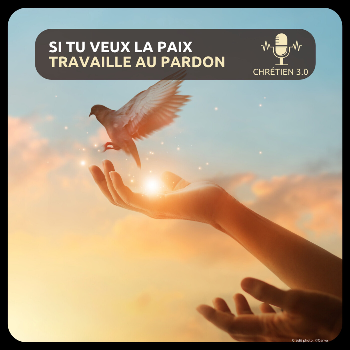 Si tu veux la paix, travaille au pardon