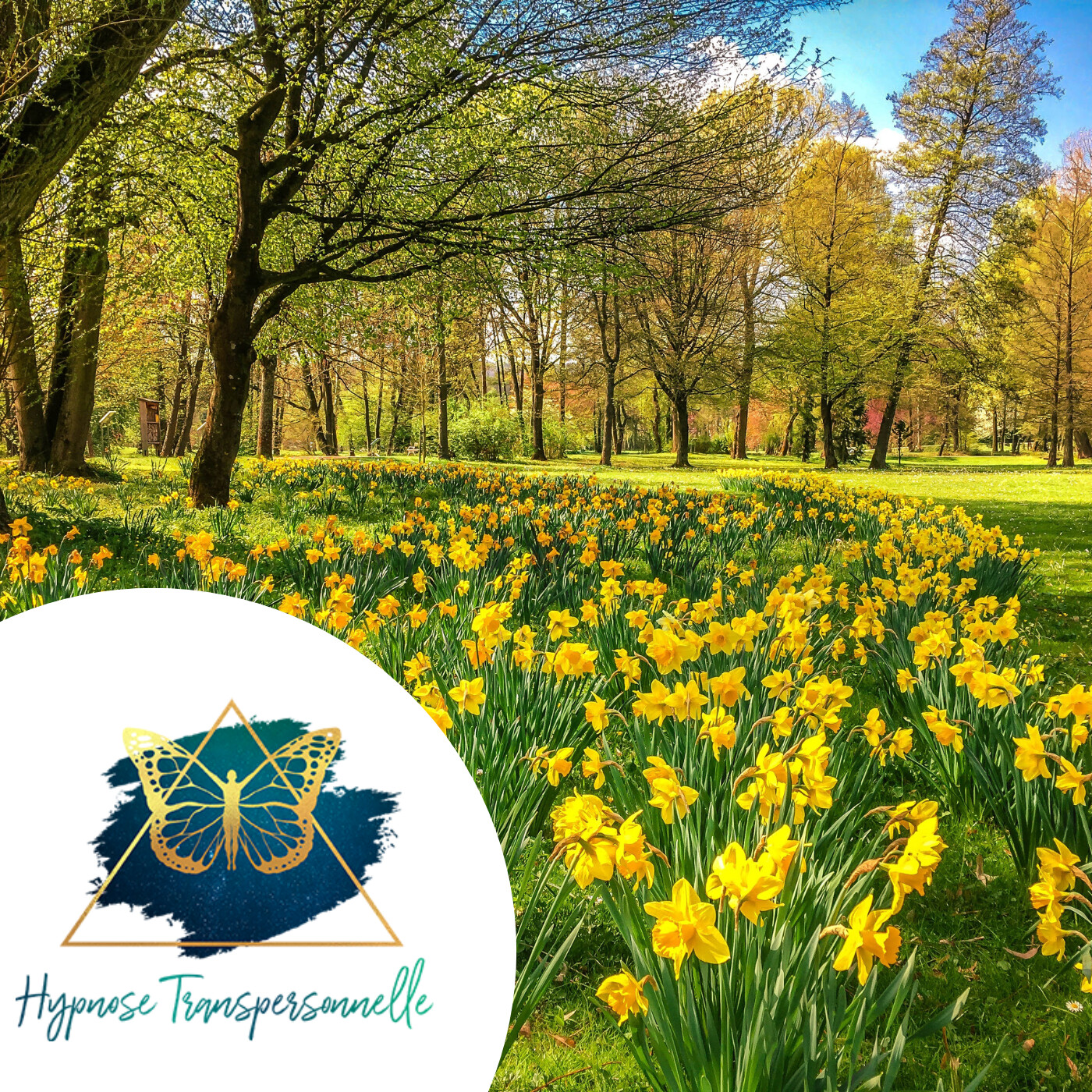 Hypnose Transpersonnelle ® - Séverine Barbier