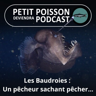 S03E11 La Baudroie, commune et abyssale : Deux espèces de poissons... pêcheurs ! cover