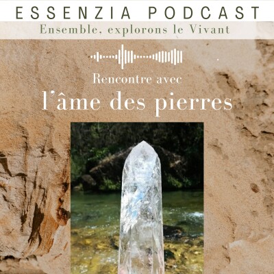 L'âme des pierres: explorons le monde minéral cover