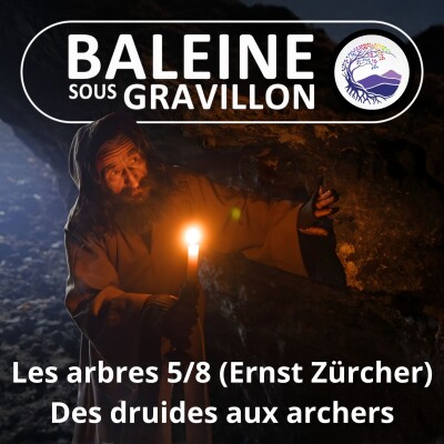 S03E84 Les arbres 5/8 : Des druides aux légendaires archers yeomen (Ernst Zürcher) cover
