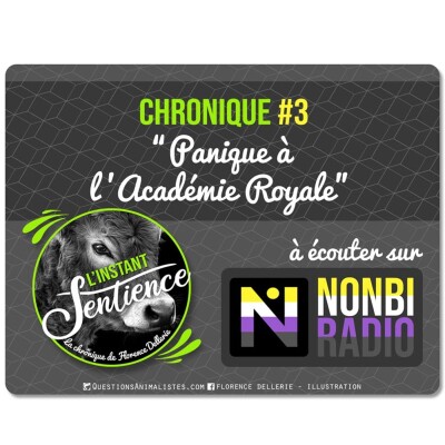 Panique a l'academie royale cover