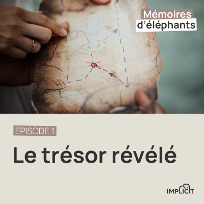 #1 - Le trésor révélé cover