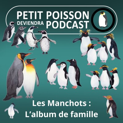 S05E11 Les Manchots : L'album de famille (Mathilde Chevallay) cover