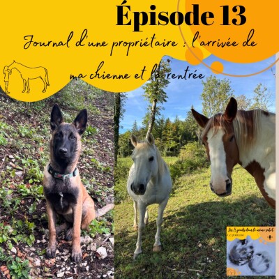 13 - Journal d'une propriétaire #2 : un nouveau chien, le rush de la rentrée ... cover