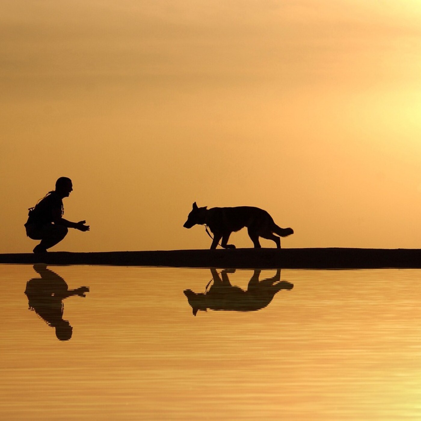 Livre audio : l'amour fou pour un animal ou sa santé mentale avec " Mademoiselle Cocotte" pour s'endormir