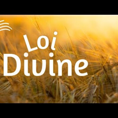 Parole et Évangile du jour | Vendredi 18 juillet • L'homme ne vit pas seulement de pain cover