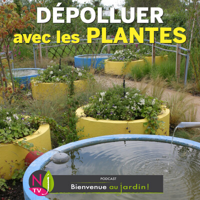 PAROLES D'EXPERTS: DÉPOLLUER L’EAU ET L’AIR GRÂCE AUX PLANTES cover