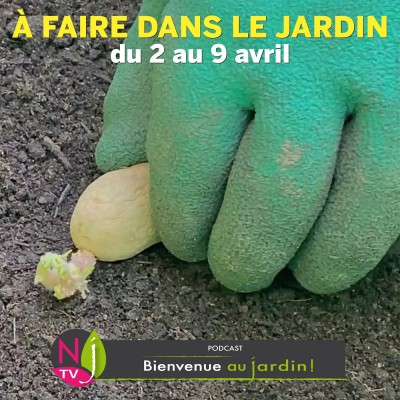 QUE FAIRE DANS LE JARDIN DU 2 AU 9 AVRIL ? cover