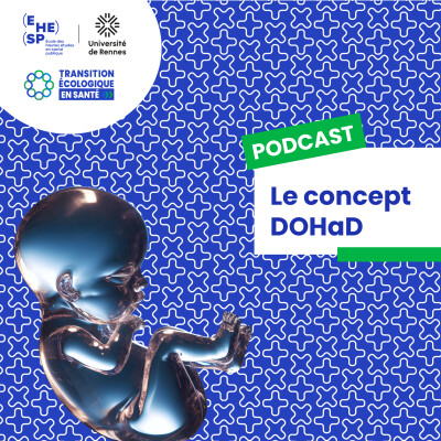 Le concept DOHaD cover