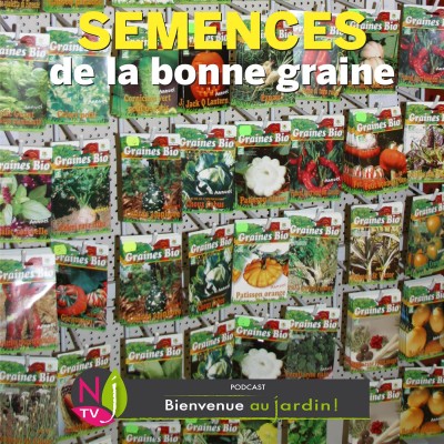 EN FINIR AVEC LES IDÉES REÇUES SUR LES SEMENCES cover