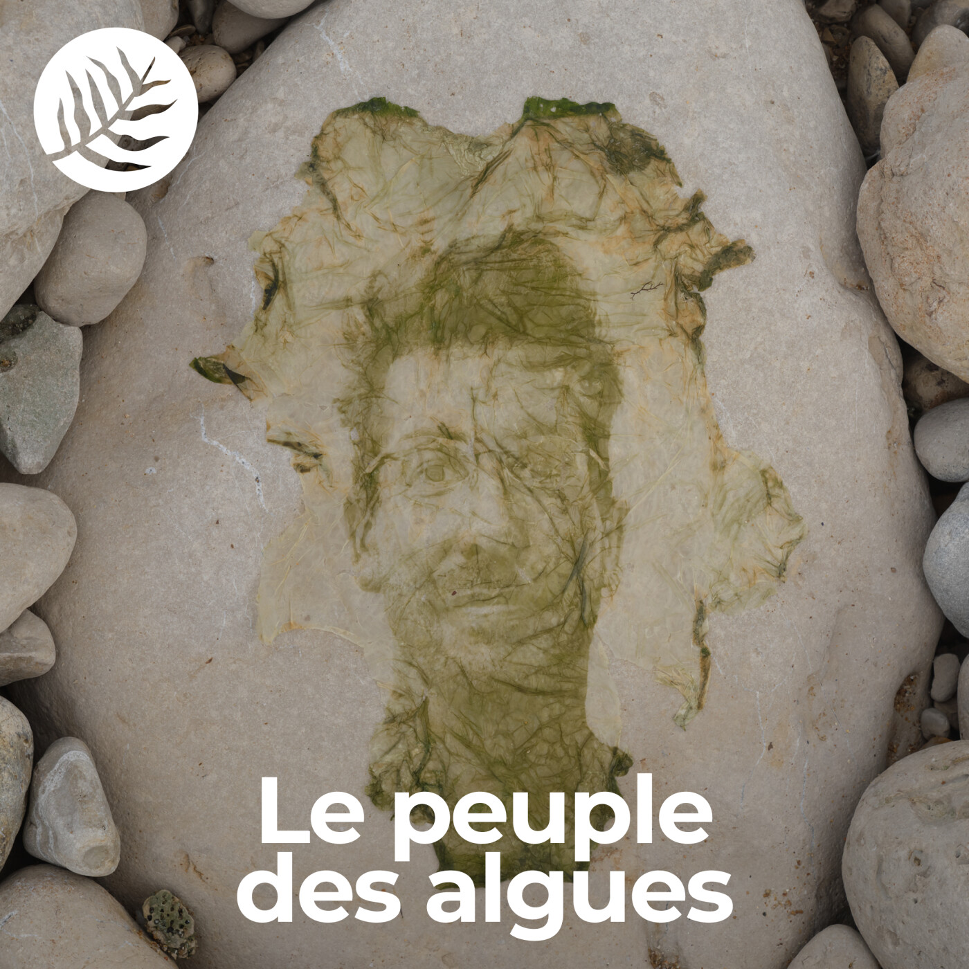 Le Peuple des Algues