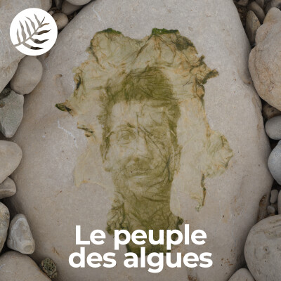 Le Peuple Des Algues : Zachary Gaudin - Ep7/10 cover