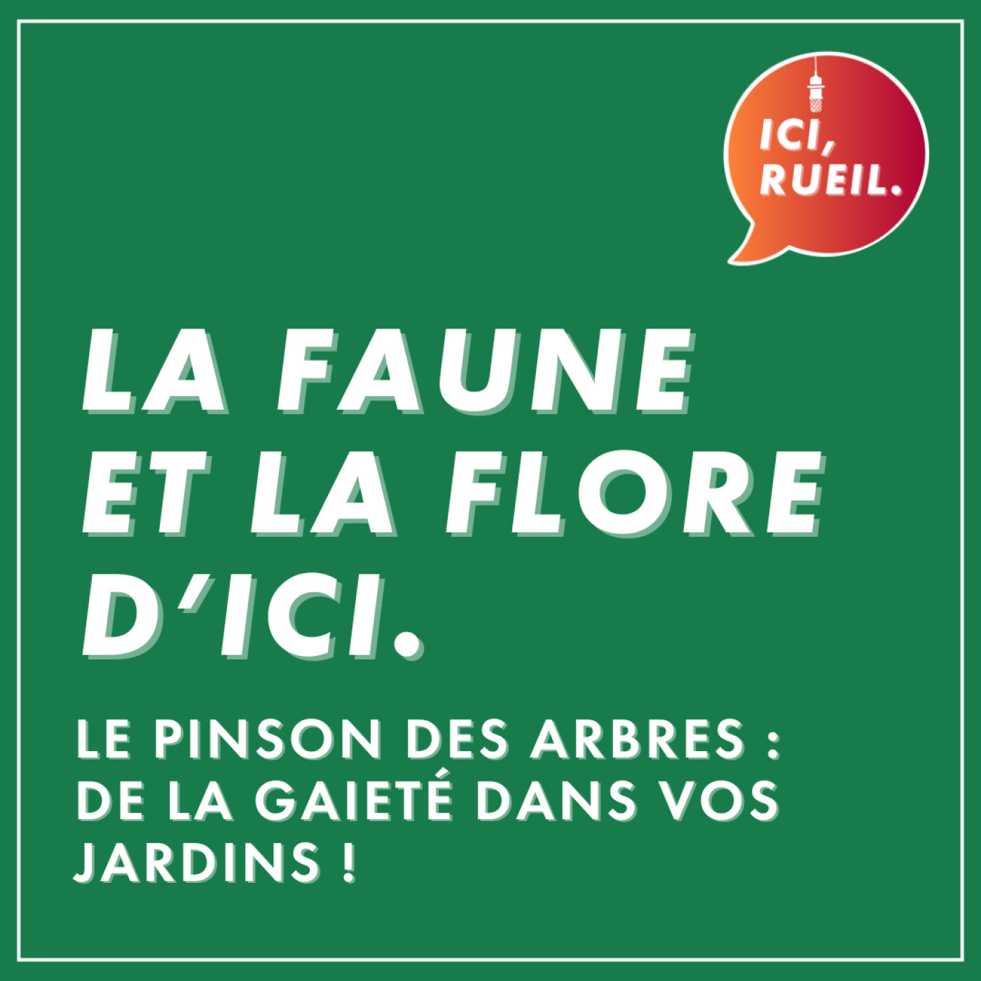 La Faune et la Flore d'Ici : Le pinson des arbres, de la gaieté dans vos jardins ! episode artwork