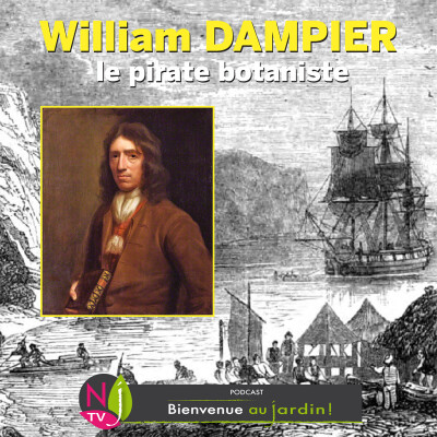 #81: LES GRANDES FIGURES DU JARDIN : LE PIRATE BOTANISTE cover