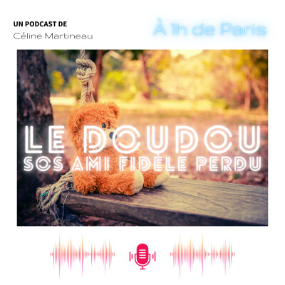 Le doudou - SOS ami fidèle perdu cover