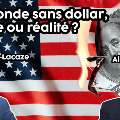 Un monde sans dollars, mythe ou réalité ? cover