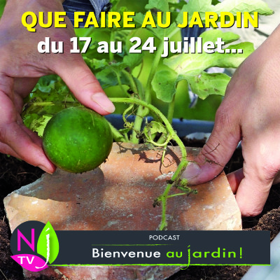 QUE FAIRE AU JARDIN DU 17 AU 24 JUILLET ? cover