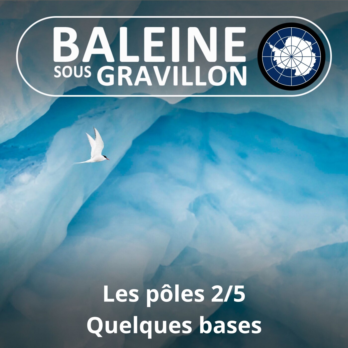 S02E99 Les pôles 2/5 : Quelques bases episode artwork