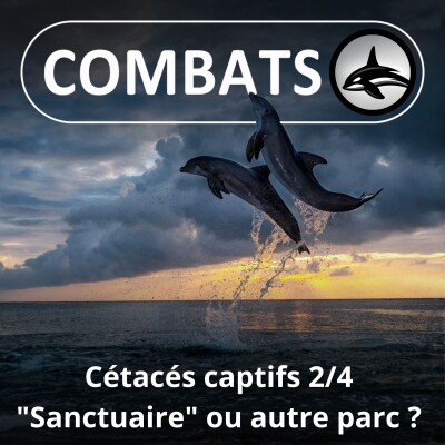 S05E57 Cétacés captifs en France 2/4 : "Sanctuaire" ou autre parc ? cover