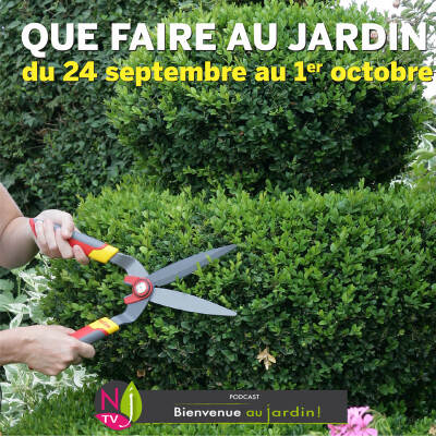 QUE FAIRE DANS LE JARDIN DU 24 SEPTEMBRE au 1er OCTOBRE ? cover