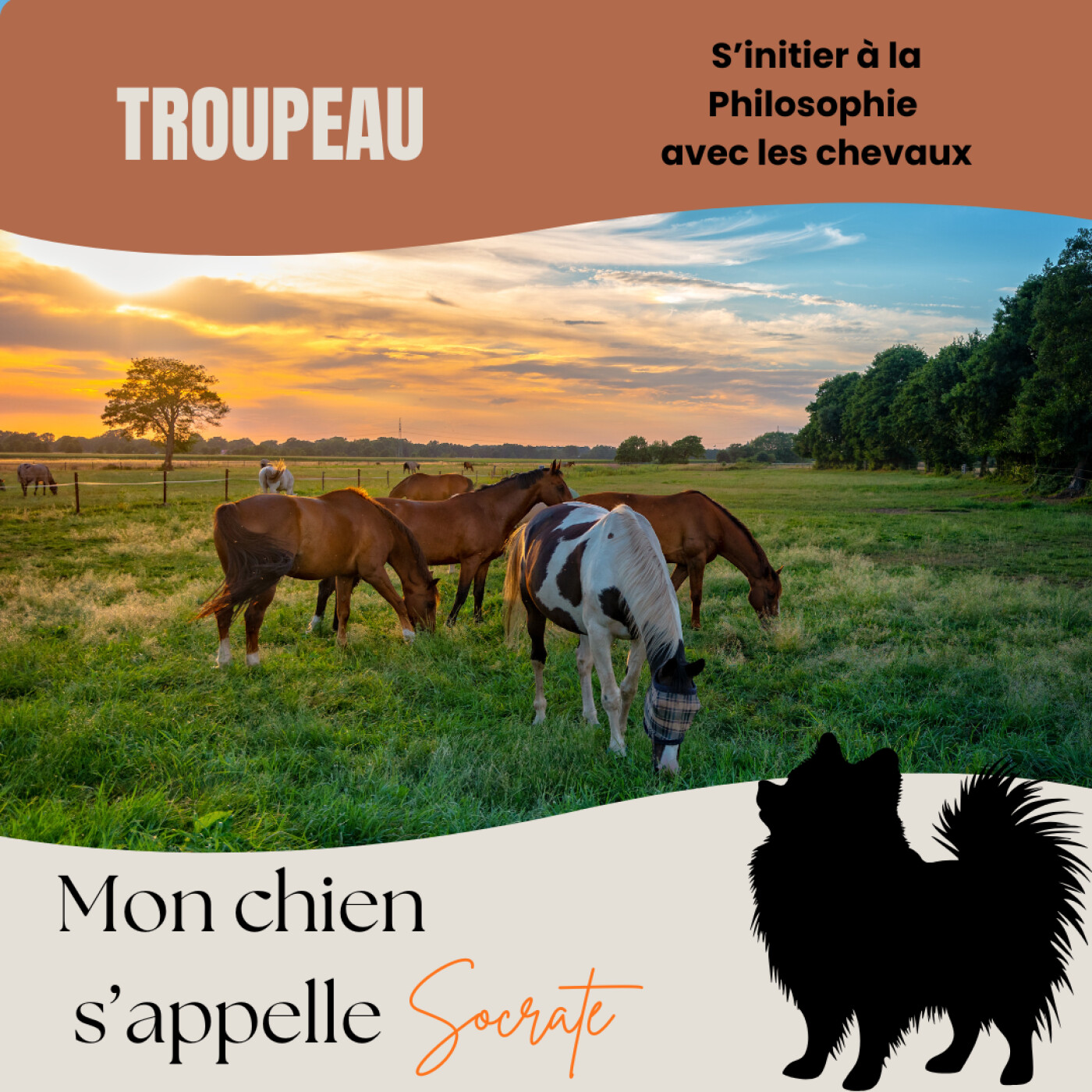 Troupeau