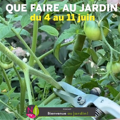 QUE FAIRE DANS LE JARDIN DU 4 AU 11 JUIN ? cover
